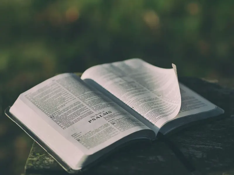 An open Bible turned to the Psalms